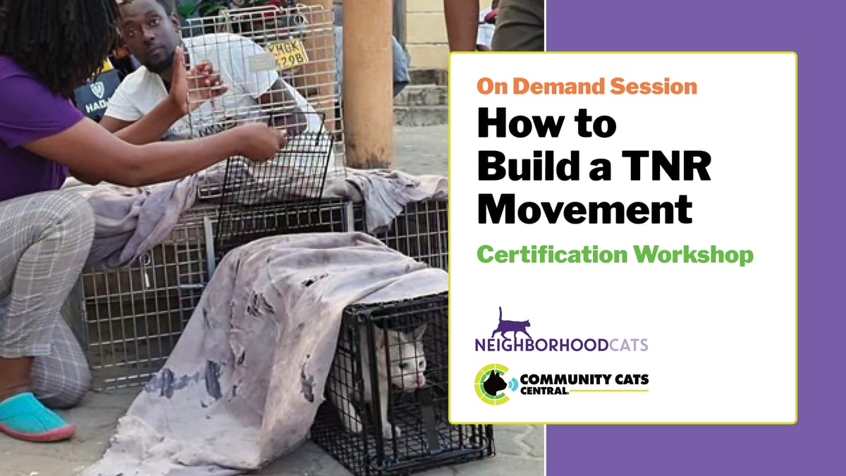 $10 fee at Community Cats Central