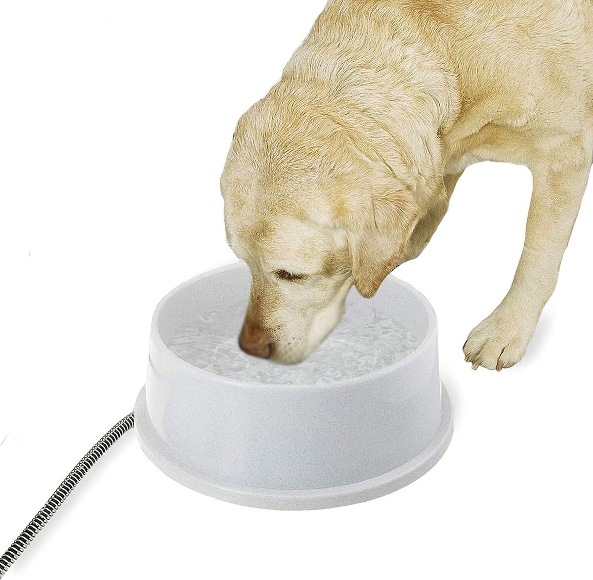 Heated water bowl