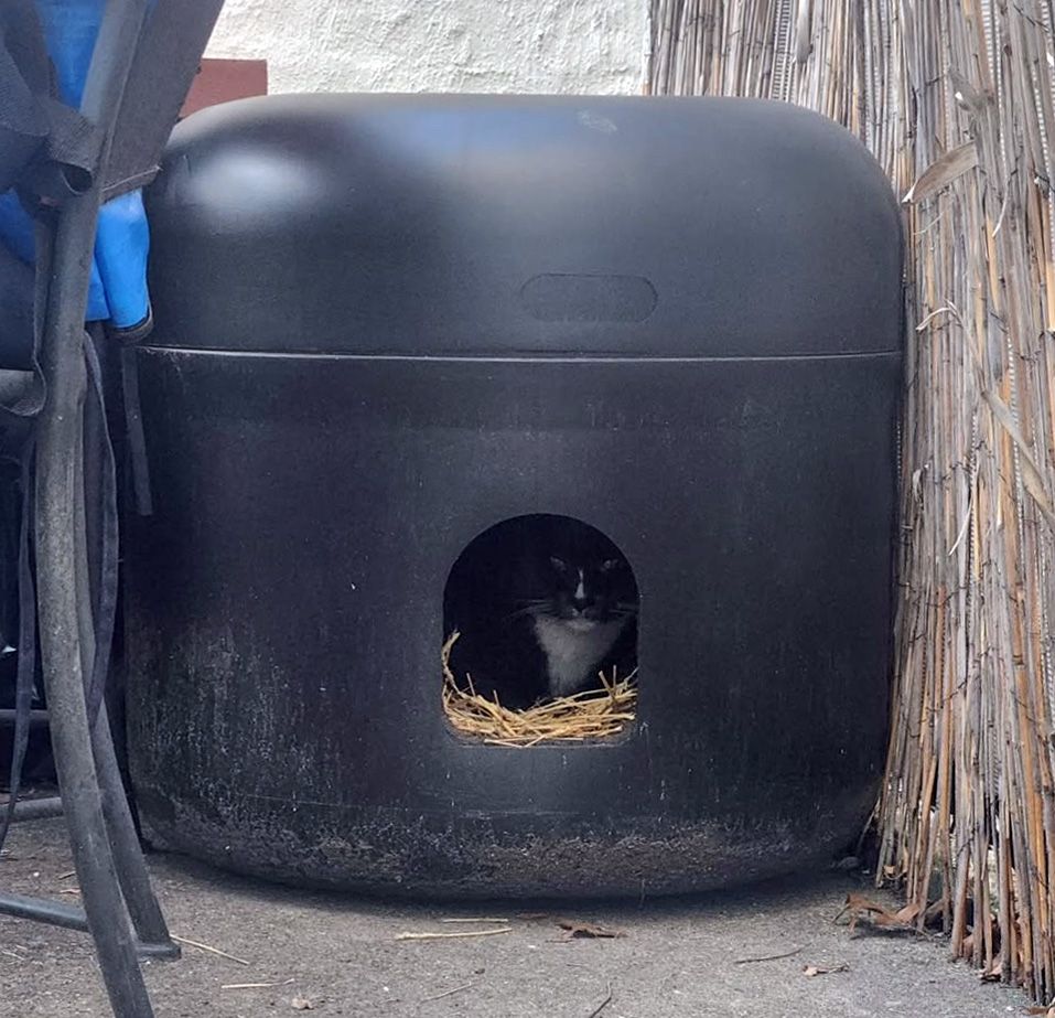 The Kitty Tube (for purchase)