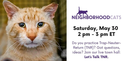 Featured image for Facebook Live: Let's Talk TNR