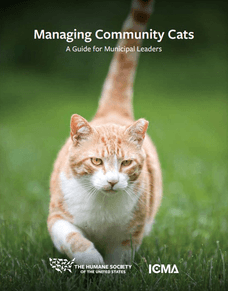 Managing Community Cats: A Guide for Municipal Leaders