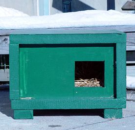 Neighborhood Cats Shelter