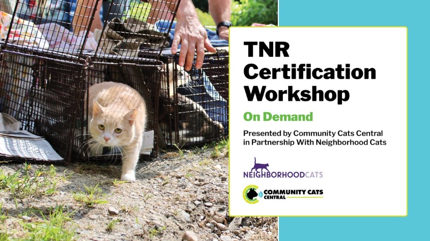 Our certification workshop is now available on demand! Click on the slide to register and watch at your convenience. $10 fee.