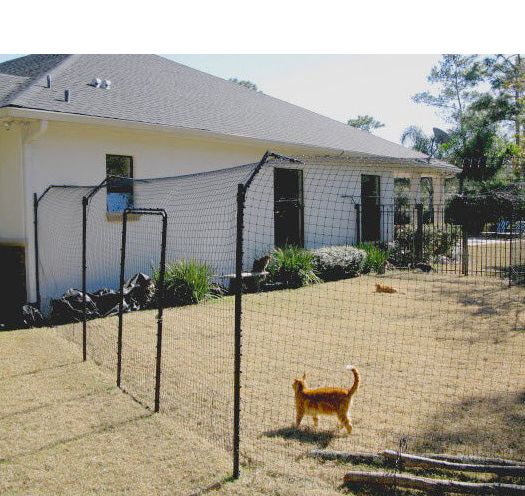 Cat-proof fencing