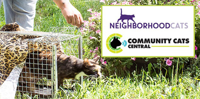 Featured image for Return to Field: How & Why