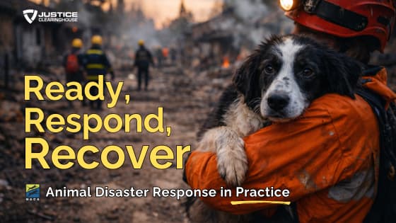 Featured image for Ready, Respond, Recover: Animal Disaster Response in Practice
