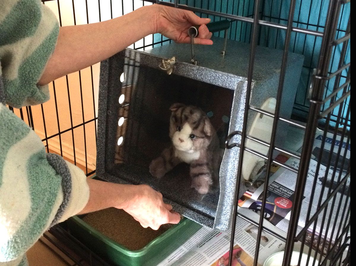 Step 1 - insert the den