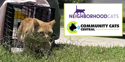 Featured image for TNR Certification Workshop