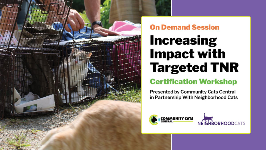 $10 fee on Community Cats Central