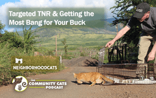 Featured image for  Targeted TNR & Getting the Most Bang for Your Buck