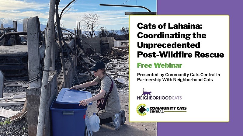 3 hour/8 lesson course FREE at Community Cats Central