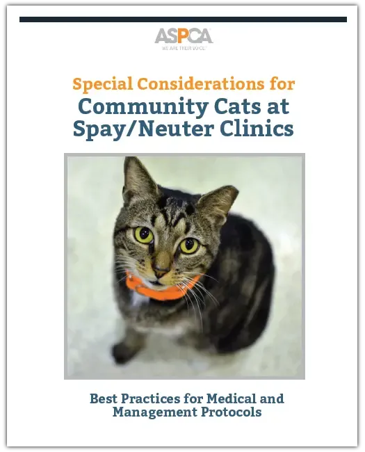 comm-cats-signup.png.webp