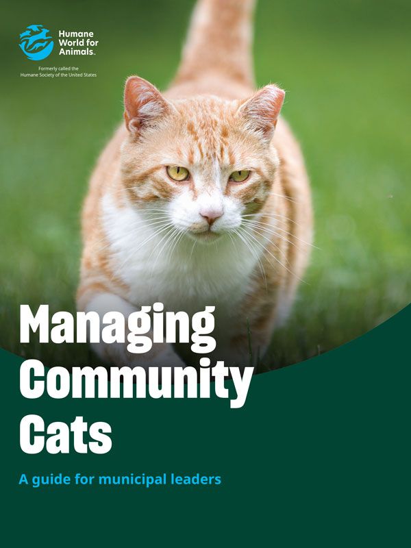 Managing Community Cats: A Guide for Municipal Leaders