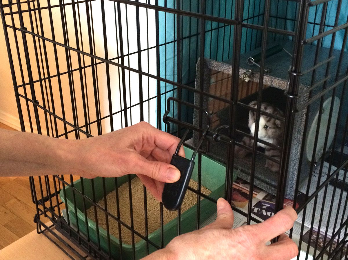 Step 2 - close the cage door