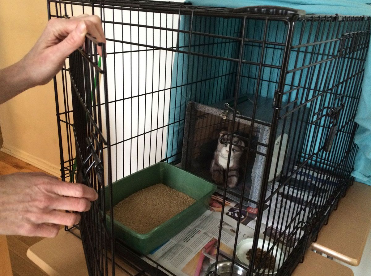 Step 6 - remove the den
